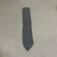 Item thumbnail for item c8bca273-09f5-43e5-a3a5-c6466f48690d