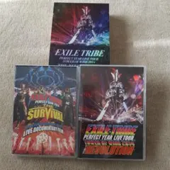 EXILE TRIBE/EXILE TRIBE PERFECT YEAR LI…