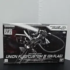 HG 1/144 UNION FLAG CUSTOM II (GN FLAG)