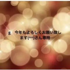 g　今年もよろしくお願い致します(^^)さん専用