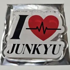 TREASURE ジュンギュ アクリルバッジ