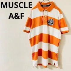 MUSCLE A&F 半袖ポロシャツ　ボーダー柄　エンブレム　コットン100%