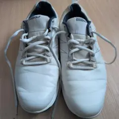 SKECHERS ゴルフシューズ ホワイト