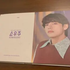 BTS SOWOZOO ポストカード V テテ
