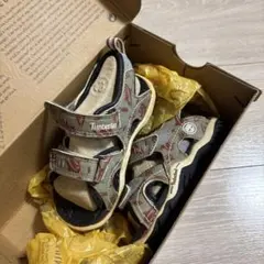 Timberland キッズサンダル グレー/レッドのサムネイル