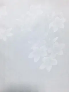 Item thumbnail for item 5127d73c-5f18-4de6-aff0-6ddc7bd7b0ad