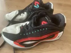 ジョーダン Luka 4 PF Bloodline ブラッドライン