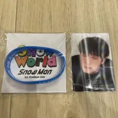 【新品未使用】Snow World 渡辺翔太 ラバーバンド、チラ見カード