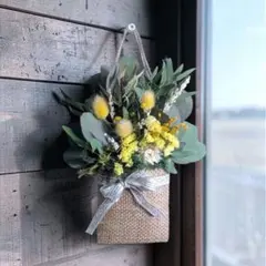 Item thumbnail for item e08acedb-b5a8-48f1-a573-17dc5c44e830