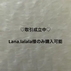 BANDAI めじろしアクセサリー Winter ベイマックス