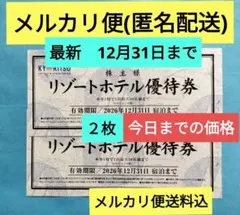 共立メンテナンス リゾートホテル優待券 2枚