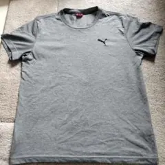 Item thumbnail for item 421a7dd2-aba3-4d75-b934-129206b38ee2