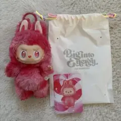 LABUBU ラブブ エナジー LOVE 赤 POPMART Energy