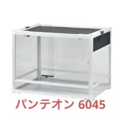 2025年最新】パンテオン6045の人気アイテム - メルカリ