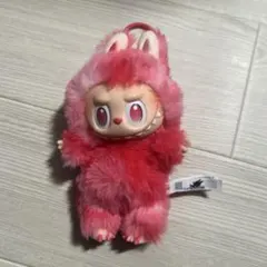 ラブブ（本物）