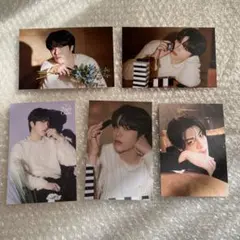 treasure ポストカード night garden ジョンファン