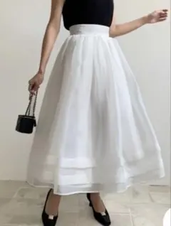 BIRTHDAY BASH SHEER VOLUME FLARE SKIRTのサムネイル
