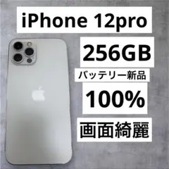 早い者勝ち　[SIMフリー]Apple iPhone 12pro 256GB
