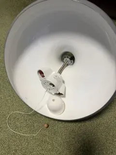 RIVER GATE PRODUCT ペンダントライト モモナチュラル