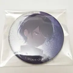 2025年最新】星乃一歌グリッター缶バッジの人気アイテム - メルカリ