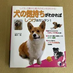 Item thumbnail for item 72c2a8fd-9a85-471c-bae8-c7184263b331