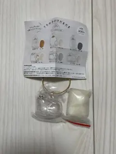 Item thumbnail for item e793f558-46c5-480d-af68-51361c059ab5