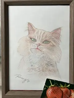 イラスト/鉛筆画/色鉛筆/猫