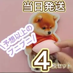 新品　柴犬　おなかプニプニ　シール　ステッカー　4枚組