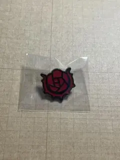 エリオスR アニカフェ ピンズ マリオン