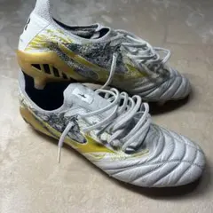Lobo様専用　　ソックスセット　　Mizuno モレリア　 　27.5