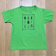 mont-bell 緑色 昆虫デザイン 半袖Tシャツ 140