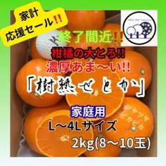 ⑧和歌山県田辺産 せとか オレンジ みかん 蜜柑 柑橘 家庭用2kg