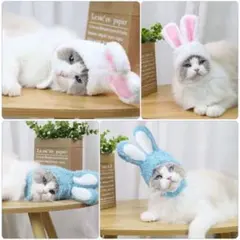 〆ペット用 被り物 帽子 小型犬 猫 ペット用 ハロウィン ２枚セット