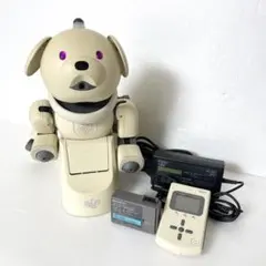 AIBOアイボ☆ラッテ☆中古ジャンク☆箱・取扱説明書&ラッテマカロンと