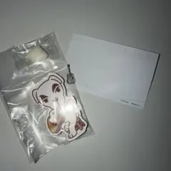 あつまれ どうぶつの森 CHARA-MAGNETS とたけけ