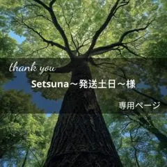 Setsuna～発送土日～様専用ページ(10月3日までお取置き可能)