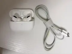 Apple AirPods Pro 第1世代 本体とイヤホン　ケーブル付き