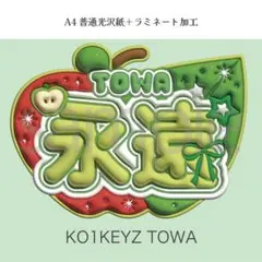 KO1KEYZ コイキーズ 濱田永遠 TOWA ぷっくり ネームボード オーダー