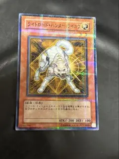 ライトロードハンター ライコウ 英語 スーパー - メルカリ