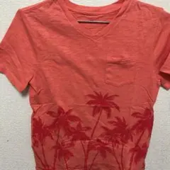 GAP Vネック Tシャツ　L  150cmぐらい