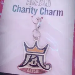 嵐 beautiful worldグッズ