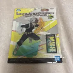 ヒロアカ　アクスタ　 轟焦凍