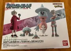 ポケモンスケールワールド　ガラル地方　ビート＆ミブリム＆テブリム＆ブリムオン