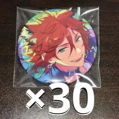 三毛縞斑 あんスタ コレクション 缶バッジ 2024 Nov Idol