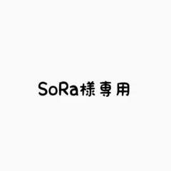 SoRa様専用