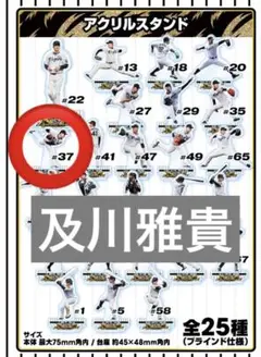 及川雅貴　阪神タイガース 2025 JERA セ・リーグ優勝記念くじ
