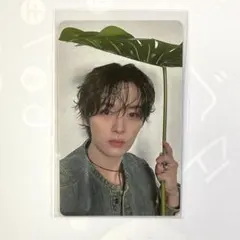 stray kids リノ エコパスタジアム 5/11 会場限定 トレカ