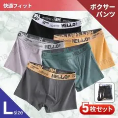 ボクサーパンツ ブリーフ メンズ ローライズ L 5枚セット シンプル 下着