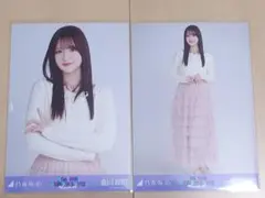 Item thumbnail for item 51a796dc-9658-4cea-b407-aa65449b3611