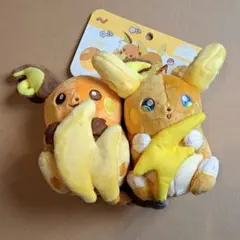 ポケモンセンター限定 にたものどうし ライチュウ & アローラ
